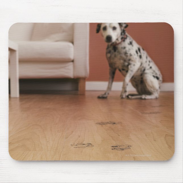 Mousepad EUA, Illinois, Metamora, Fechamento do chão com (Frente)