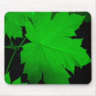 Mousepad EUA, Kansas, Folhas de Carvalho à Luz