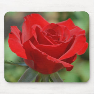 Mousepad EUA, Kansas, Rosa Vermelha