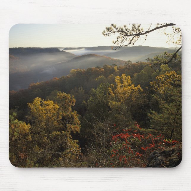 Mousepad EUA, Kentucky. Floresta Nacional Daniel Boone. (Frente)