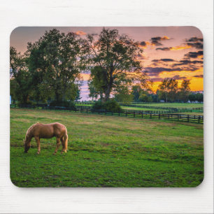 Mousepad EUA, Lexington, Kentucky. Cavalo solitário ao pôr 