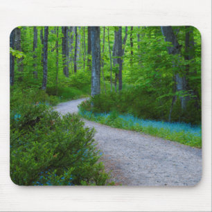 Mousepad EUA, Michigan. Caminho Através das Matas