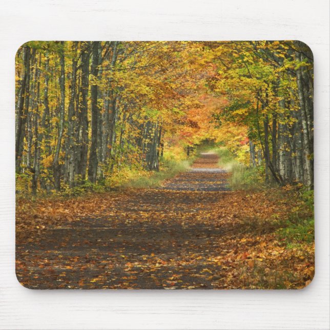 Mousepad EUA, Michigan, Península Superior. Estrada para (Frente)