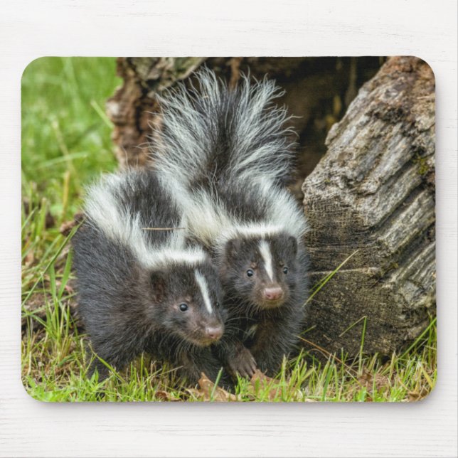 Mousepad EUA, Minnesota, Sandstone, Minnesota Willife (Frente)