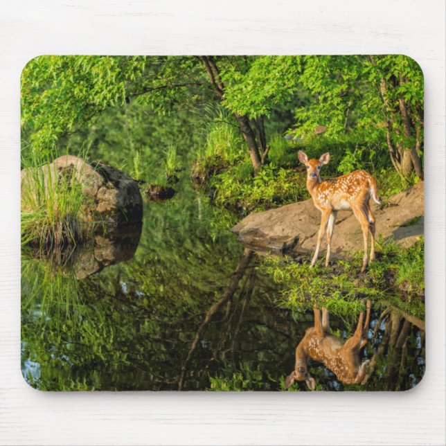 Mousepad EUA, Minnesota, Sandstone, Vida Selvagem de Minnes (Frente)