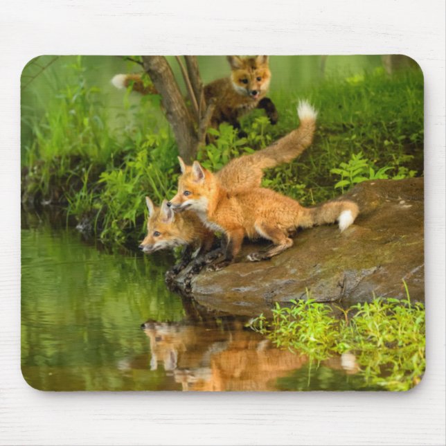Mousepad EUA, Minnesota, Sandstone, Vida Selvagem de Minnes (Frente)