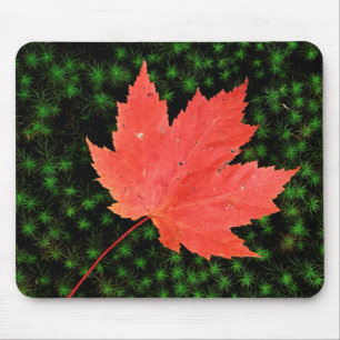 Mousepad EUA, Missouri, Floresta Nacional Mark Twain