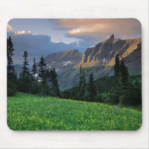 Mousepad EUA, Montana, Parque Nacional Glacier, Logan Pass