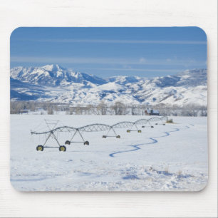 Mousepad EUA, MT, Fazenda perto de Livingston