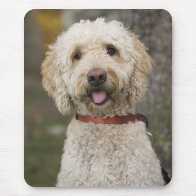 Mousepad EUA, Nova Inglaterra, Massachusetts, Reading, (Frente)