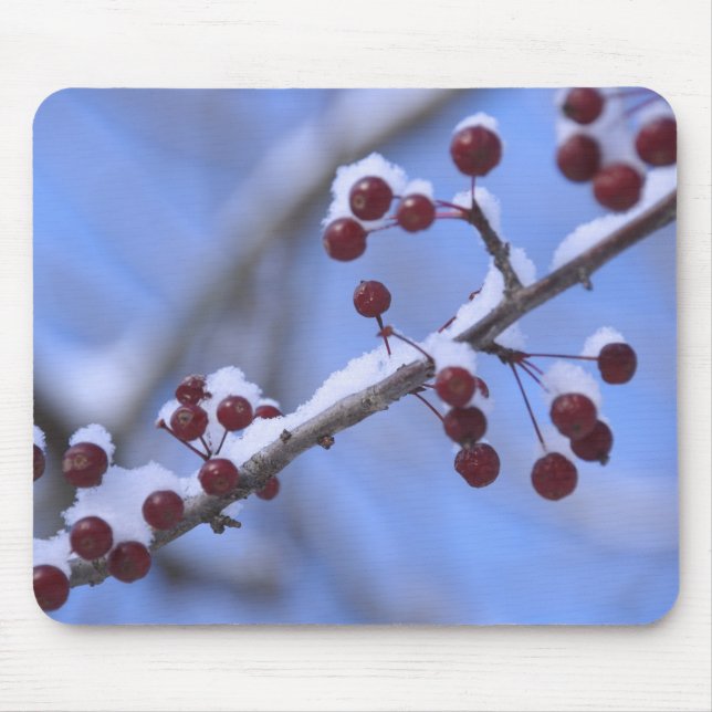 Mousepad EUA, Nova Inglaterra, Massachusetts, Reading, 3 (Frente)