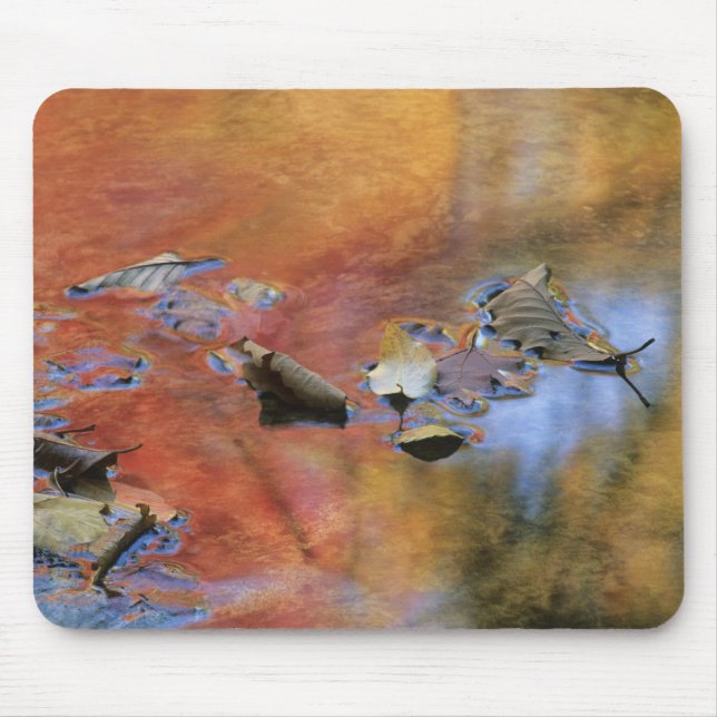Mousepad EUA, Nova York, Adirondacks, Folhas Caídas em (Frente)