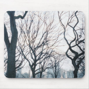 Mousepad EUA, Nova York, Cidade de Nova York: Central Park