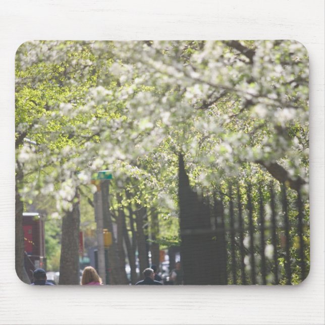Mousepad EUA, Nova York, Cidade de Nova York, Manhattan: 8 (Frente)