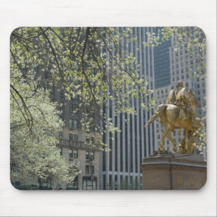 Mousepad EUA, Nova York, Nova York, Manhattan: 16