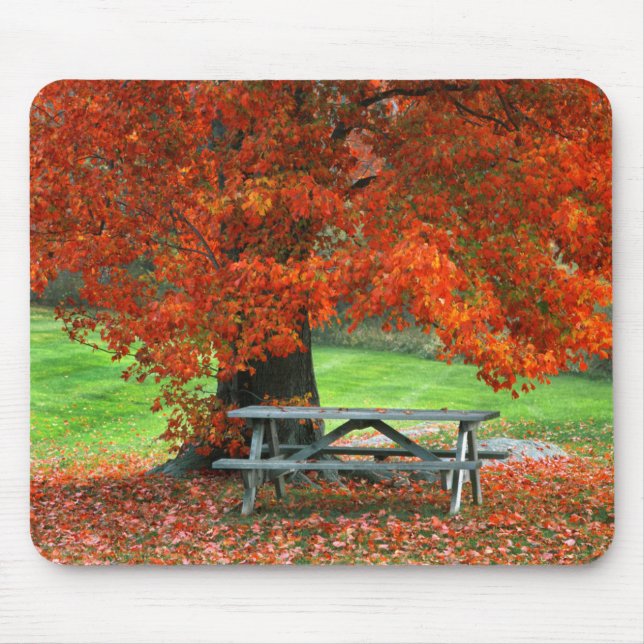 Mousepad EUA, Nova York, West Park. Banco sob bordo (Frente)