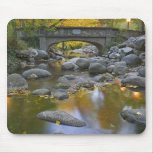 Mousepad EUA, Oregon, Ashland, Parque Lithia. Outono