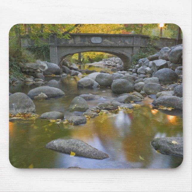 Mousepad EUA, Oregon, Ashland, Parque Lithia. Outono (Frente)