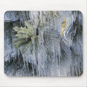 Mousepad EUA, Oregon, Bend. O gelo no pinheiro Ponderosa