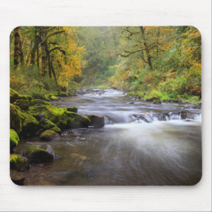 Mousepad EUA, Oregon, Desfiladeiro do Rio Columbia, Tanner