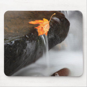 Mousepad EUA, Oregon, Desfiladeiro do Rio Columbia, Tanner