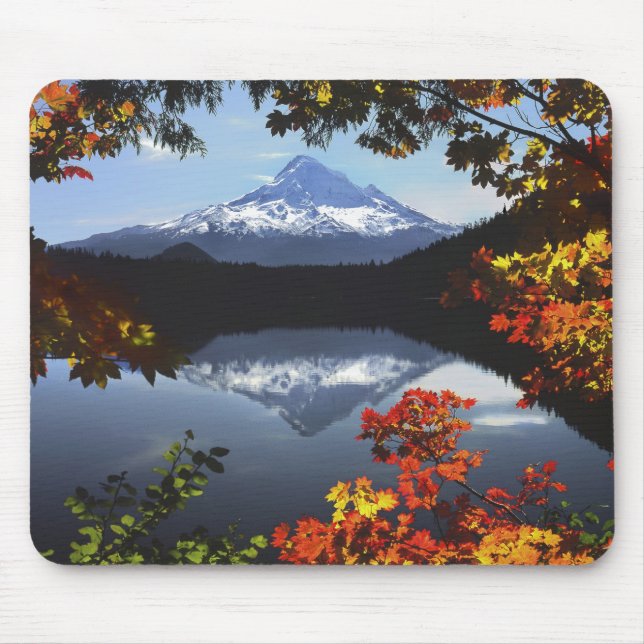 Mousepad EUA, Oregon, Floresta Nacional de Mt. Hood. (Frente)