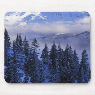 Mousepad EUA, Oregon, Floresta Nacional Deschutes, Sul