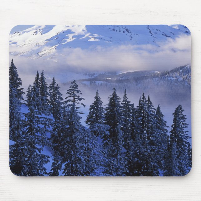 Mousepad EUA, Oregon, Floresta Nacional Deschutes, Sul (Frente)