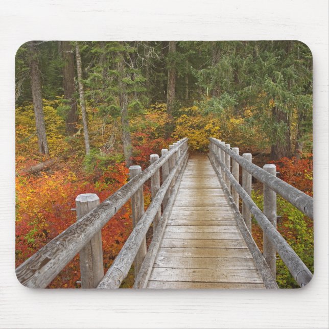 Mousepad EUA, Oregon, Floresta Nacional Willamette. (Frente)