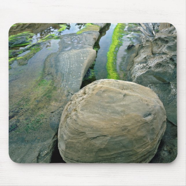 Mousepad EUA, Oregon, Parque Estadual Shore Acres (Frente)
