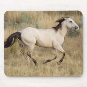 Mousepad EUA, Oregon, Seneca, Ponderosa Ranch. Cavalo