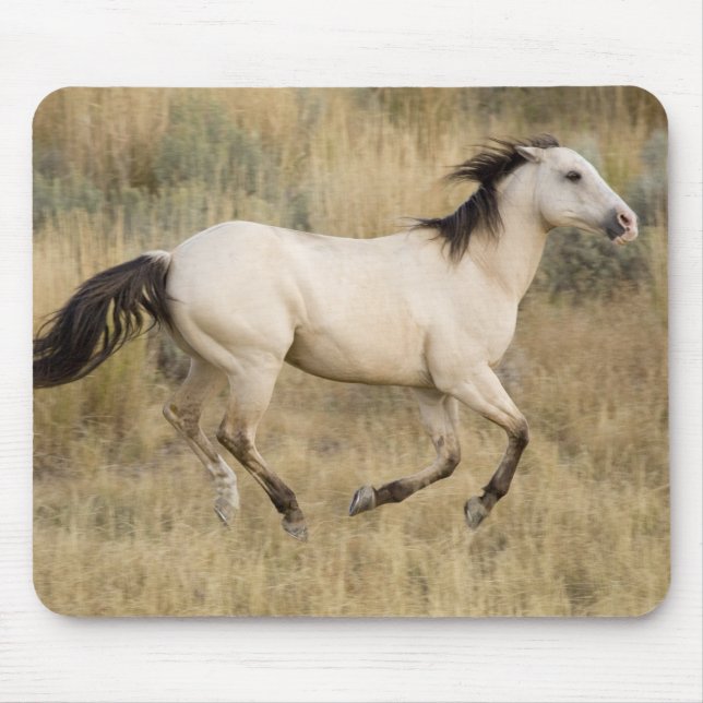 Mousepad EUA, Oregon, Seneca, Ponderosa Ranch. Cavalo (Frente)