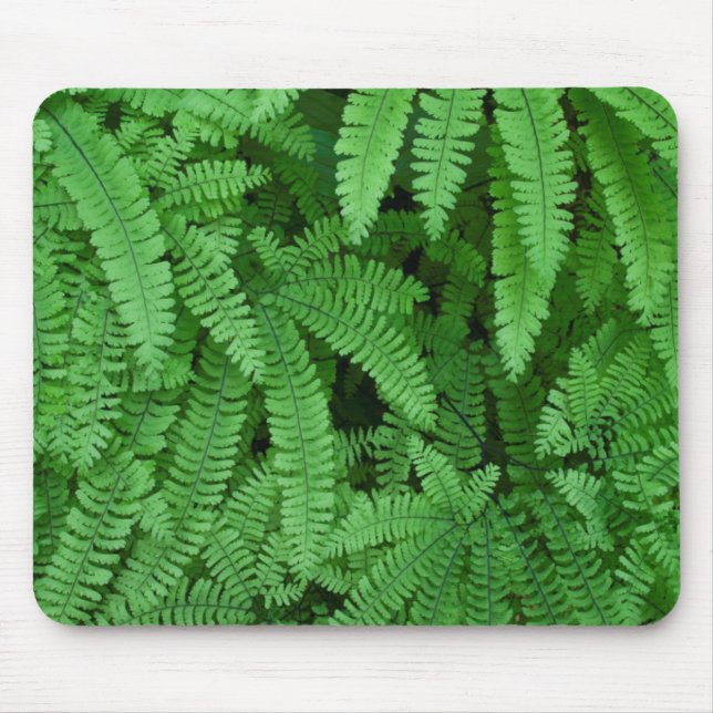 Mousepad EUA, Oregon, Silverton. Fios de cabelo (Frente)