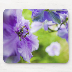 Mousepad EUA, Oregon, Vale do Willamette, Larkspur Close 2