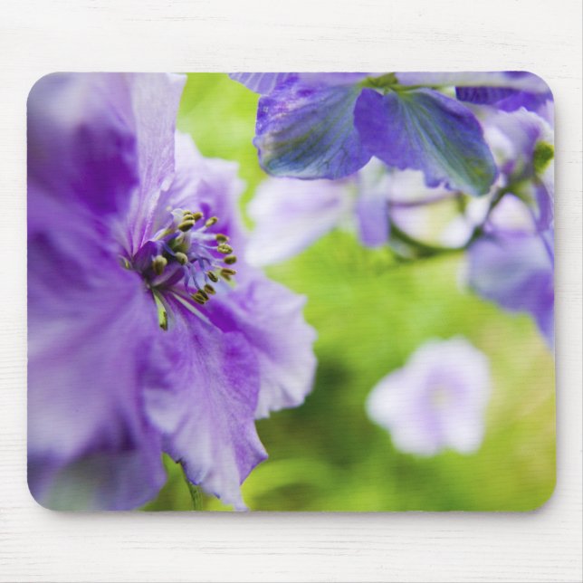 Mousepad EUA, Oregon, Vale do Willamette, Larkspur Close 2 (Frente)