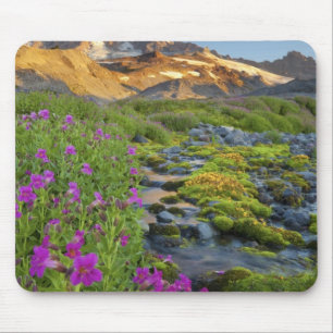 Mousepad EUA, Parque Nacional Mt. Rainier, Washington.