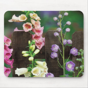 Mousepad EUA, Pensilvânia. Dedaleira e delphinium
