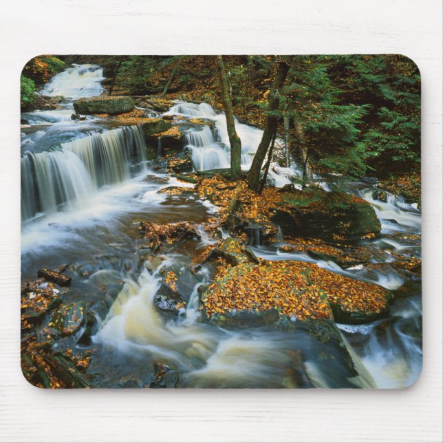 Mousepad EUA, Pensilvânia, Parque Estadual Ricketts Glen (Frente)