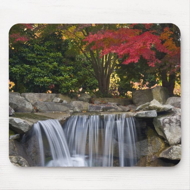 Mousepad EUA, Redmond, Washington. Cores de outono num parq (Frente)