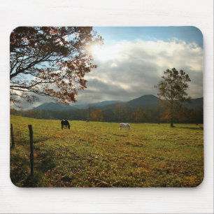 Mousepad EUA, Tennessee. Cavalos no Vale de Cades Cove