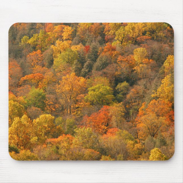 Mousepad EUA, Tennessee. Folhagem de Outono 2 (Frente)