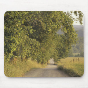 Mousepad EUA, Tennessee, Parque Nacional das Grandes Montan