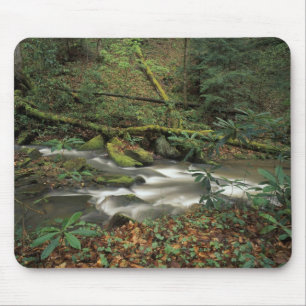 Mousepad EUA, Tennessee. Rio Nacional Big South Fork