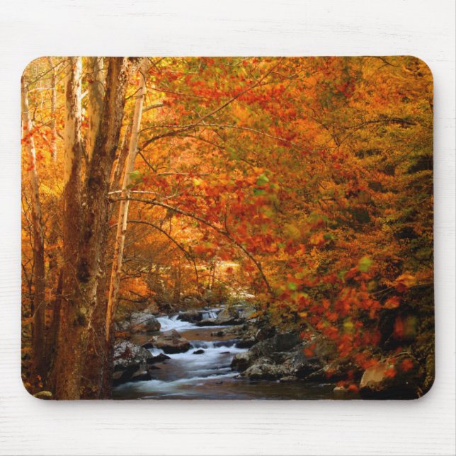 Mousepad EUA, Tennessee. Rushing Mountain Creek 2 (Frente)