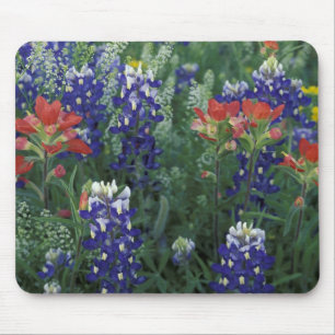 Mousepad EUA, Texas Hill Country. Bluebonnets e