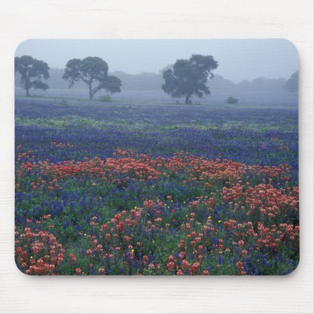 Mousepad EUA, Texas, perto de Lytle Fog, carvalhos, blue bo (Frente)