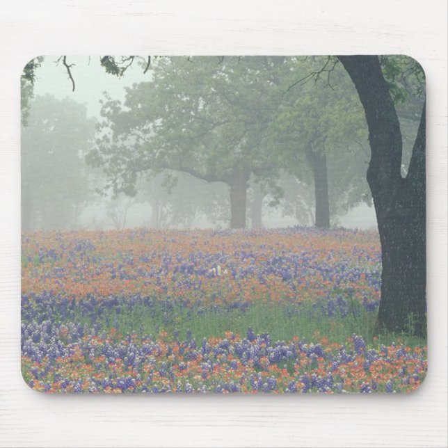 Mousepad EUA, Texas. Pincel e bluebonnets do Texas (Frente)