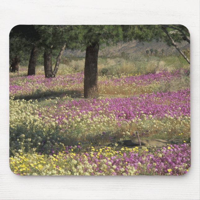 Mousepad EUA, Texas, Sand Verbena e Brown-Eyed (Frente)