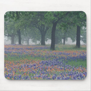 Mousepad EUA, Texas, Texas Hill Country Campo expansivo