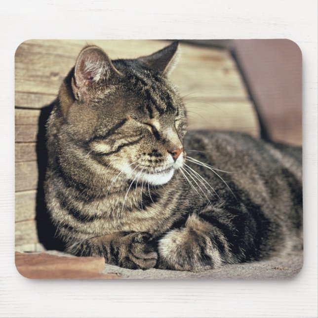 Mousepad EUA, Utah, Capitol Reef NP. Gato de dormir (Frente)